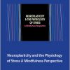 Clyde Boiston - Neuroplasticity the Physiology of Stress. A Mindfulness Perspective