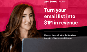 Codie Sanchez - Turn Your Email List Into 1mil