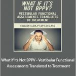 Colleen Sleik - What If It's Not BPPV Vestibular Functional Assessments Translated to Treatment