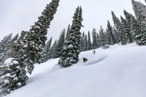 Daron Rahlves and Jennifer Weier - Find Your Line. How to Ski Trees