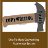 Dave Dee - One To Many Copywriting Accelerator System