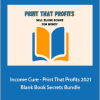 David Dill - Income Cure - Print That Profits 2021 - Blank Book Secrets Bundle