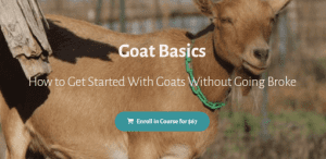 Deborah Niemann - Goat Basics