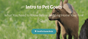 Deborah Niemann - Intro to Pet Goats