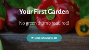 Deborah Niemann - Your First Garden