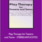 Jennifer Lefebre - Play Therapy for Tweens and Teens - STBRIEEANTUCOTDS