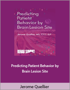 Jerome Quellier - Predicting Patient Behavior by Brain Lesion Site