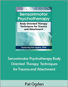 Pat Ogden - Sensorimotor Psychotherapy. Body Oriented Therapy Techniques for Trauma and Attachment