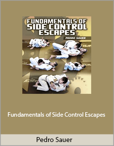 Pedro Sauer - Fundamentals of Side Control Escapes