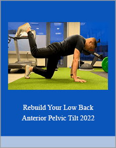 Rebuild Your Low Back. Anterior Pelvic Tilt 2022