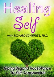 Richard C. Schwartz - Healing Self. Going Beyond Acceptance to Self-Compassion