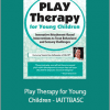 Tammi Van Hollander - Play Therapy for Young Children - IAITTBASC