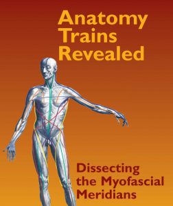 Thomas Myers - Anatomy Trains Revealed. Dissecting the Myofascial Meridians