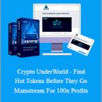 Todd Spears - Crypto UnderWorld - Find Hot Tokens Before They Go Mainstream For 100x Profits