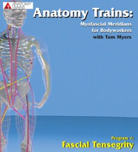 Tom Myers - Anatomy Trains. Fascial Tensegrity