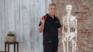 Tom Myers - Fascia and the Anatomy Trains