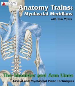 Tom Myers - Technique Series. The Shoulder and Arm Lines