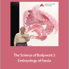 Tom Myers - The Science of Bodywork 2. Embryology of Fascia