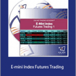 Trading Academy - E-mini Index Futures Trading