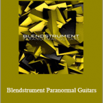 8Dio - Blendstrument Paranormal Guitars