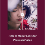 Aaron Nace - How to Master LUTs for Photo and Video