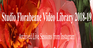 Amity Katharine Libby - Studio Florabeane Video Library 2018-19