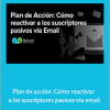 Andrés Esteban Díaz del Castillo - Plan de acciòn. Cómo reactivar a los suscriptores pasivos vía email