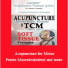 Anthony Lombadi - Acupuncture for Motor Points, Musculoskeletal and more