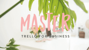 Boss Project - Master Trello for Business