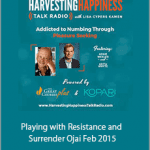 David Deida - Playing with Resistance and Surrender Ojai Feb 2015