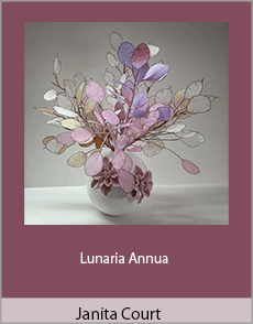 Janita Court - Lunaria Annua