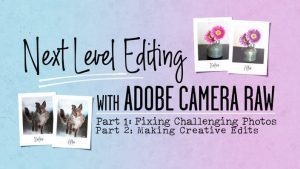 Jenifer Juris - Next Level Editing BUNDLE