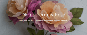 Jessie Chui - Distant Drums Rose