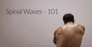 Jon Yuen - Spinal Waves 101