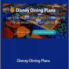 LJ Johnson - Disney Dining Plans