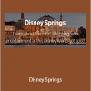 LJ Johnson - Disney Springs