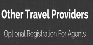 LJ Johnson - Other Travel Providers