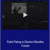 Lee Lanier - Paint Fixing in Davinci Resolve Fusion
