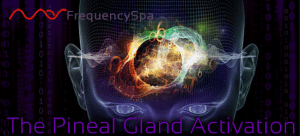 Mas Sajady - Pineal Gland Activation