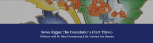 Nida Chenagtsang - Sowa Rigpa. The Foundations 2021 - Part Three