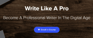 Niklas Göke - Write Like A Pro