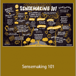 Rebel Wisdom - Sensemaking 101