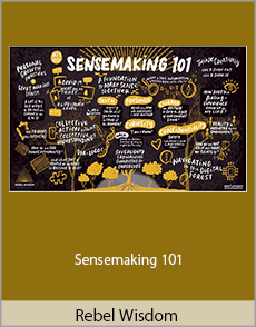 Rebel Wisdom - Sensemaking 101