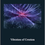 Sapien Medicine - Vibration of Creation