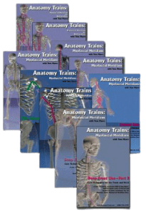 Tom Myers - Technique Series. Set of 10 Videos - Complete